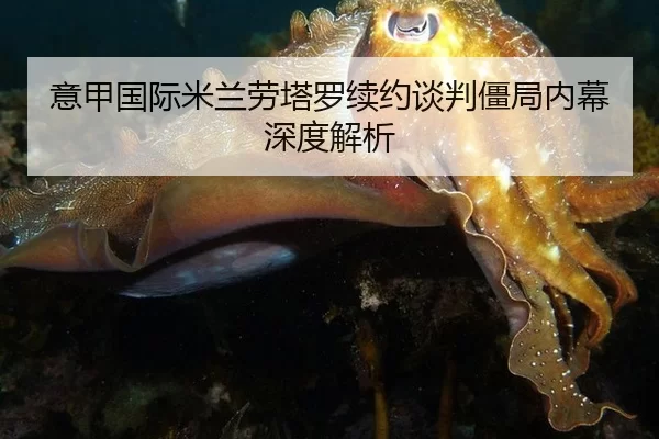 意甲国际米兰劳塔罗续约谈判僵局内幕深度解析
